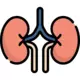 Anspharma-Urology